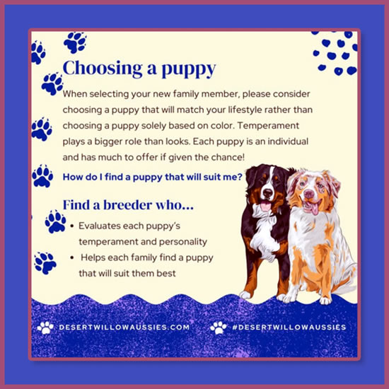 how do you check a puppys temperament